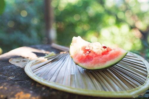 新瓜免费吃瓜入口,畅享夏日美味盛宴