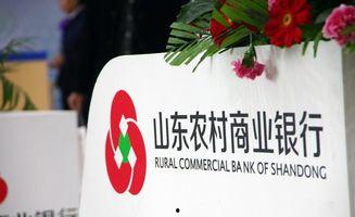 农商行最新爆料,揭秘金融行业变革背后的秘密！”